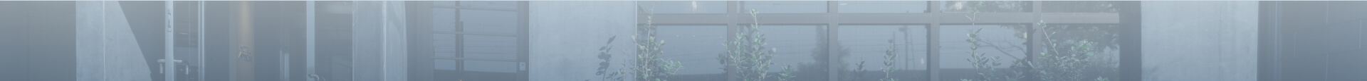 フロント