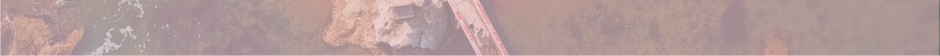 フロント
