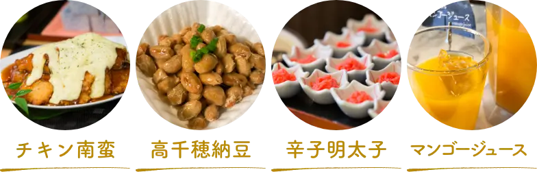 他にも宮崎・九州の郷土料理をご用意しております