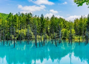 Blue Pond