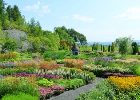 Ueno Farm